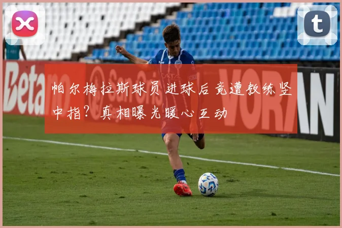 帕尔梅拉斯球员进球后竟遭教练竖中指?真相曝光暖心互动